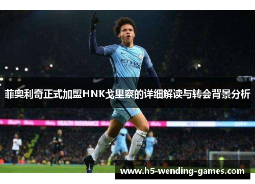 菲奥利奇正式加盟HNK戈里察的详细解读与转会背景分析