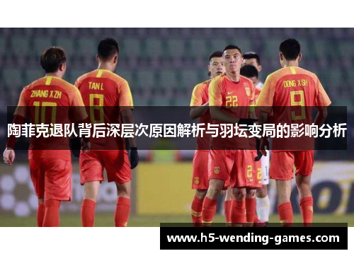 陶菲克退队背后深层次原因解析与羽坛变局的影响分析